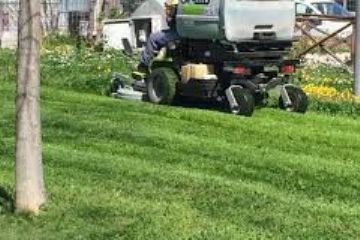 Manutenzione del verde pubblico triennio 2020-2022